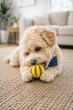 Busy Ball™ by Furico™